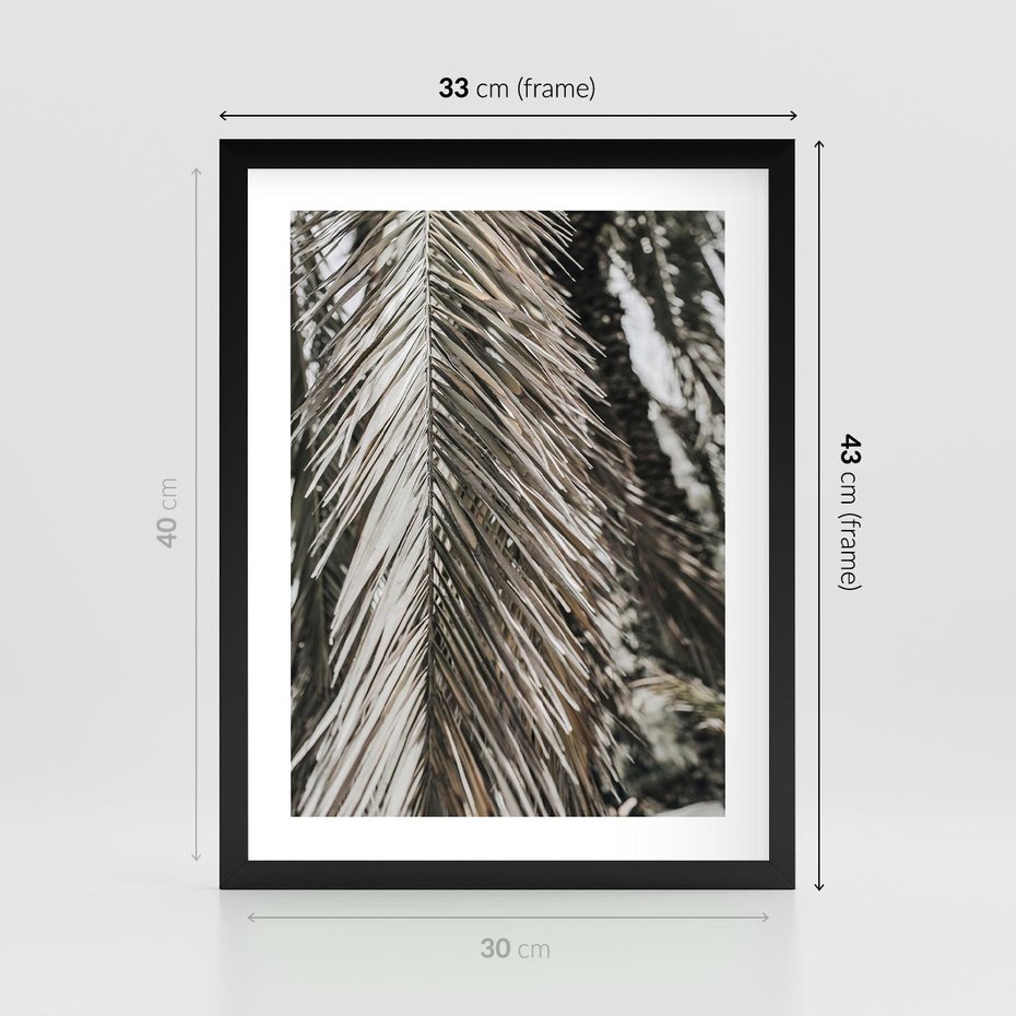 Plakat w ramie 30x40 - Egzotyczne Gałęzie - suche gałęzie, liście palmy - rama czarna