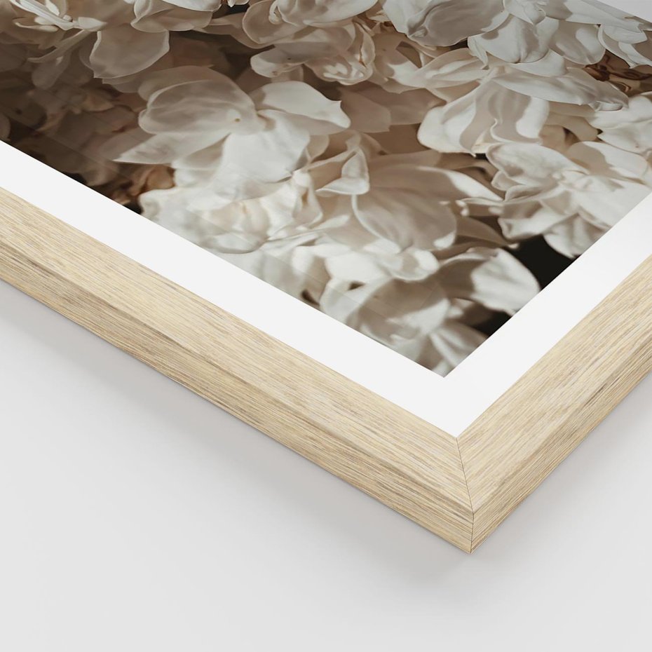 Plakat w ramie 30x40 - Płatki w Detalu - białe kwiaty, zbliżenie - rama drewno
