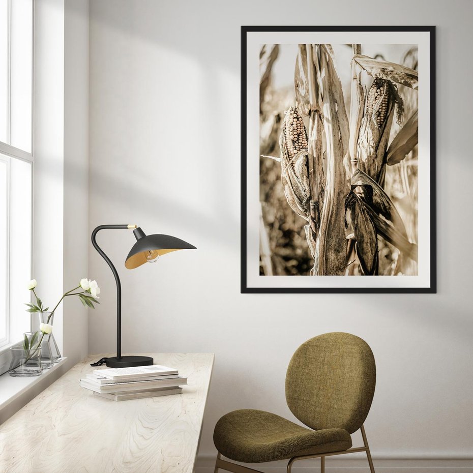 Plakat bez ramy 21x30 - Retro Pole Kukurydzy - retro zdjęcie, sepia