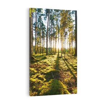 Obraz na płótnie 70x100 - Obfitość natury - las, drzewa