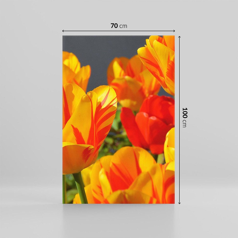 Obraz na płótnie 70x100 - Kwiatowa Harmonia - kwiaty, kwiat