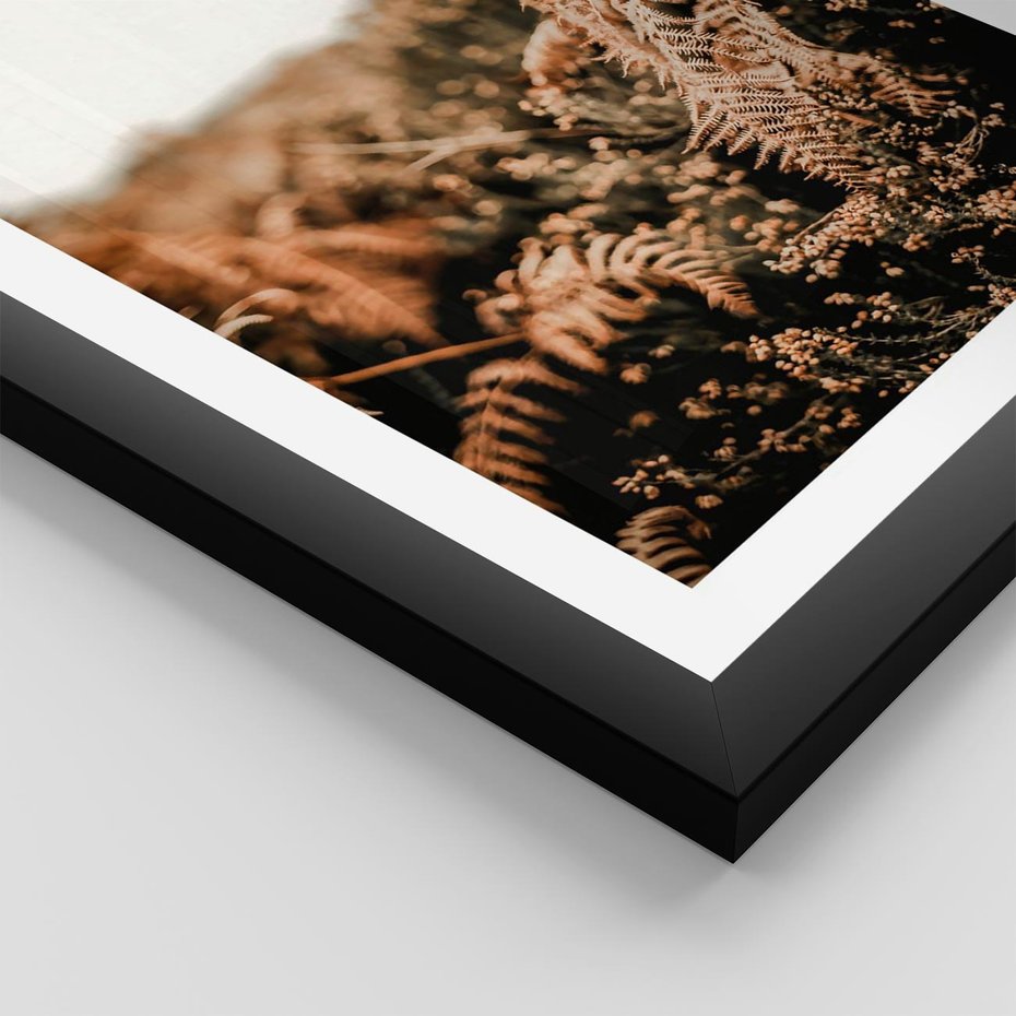 Plakat w ramie 50x70 - Jesienna Harmonia - suche paprocie, jesienny krajobraz - rama czarna