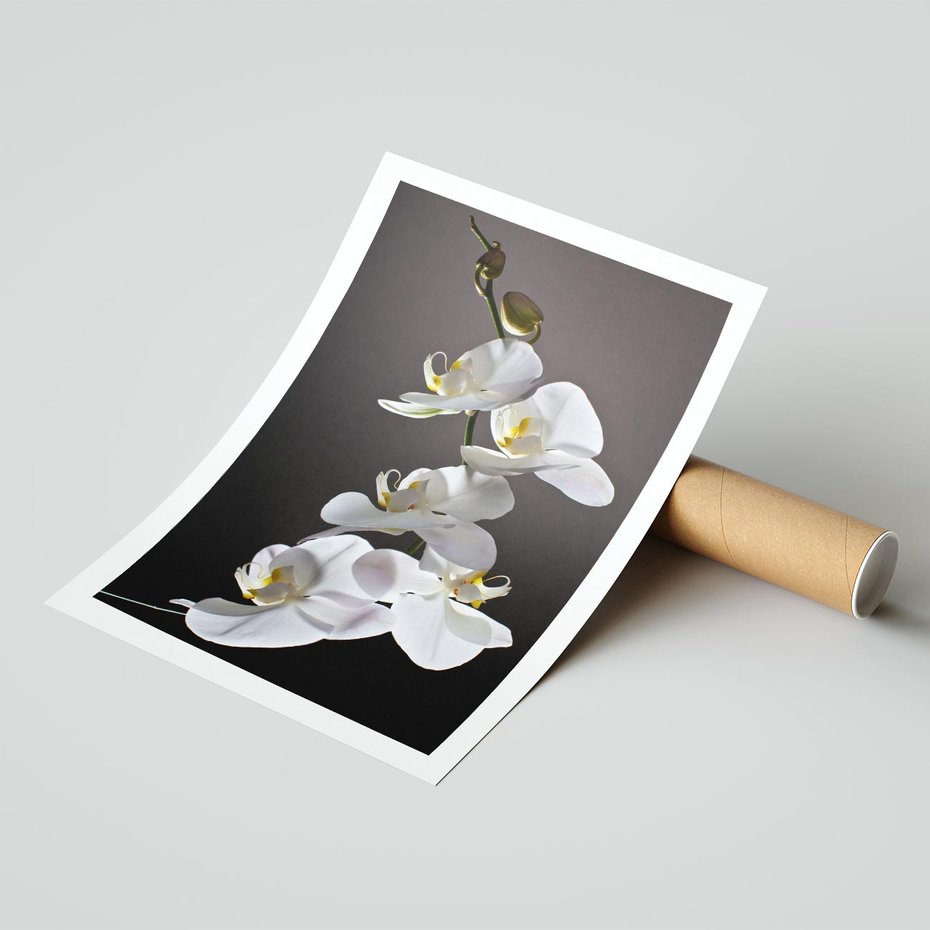 Plakat bez ramy 30x40 - SPA: harmonia z kwiatami - spa, kwiaty