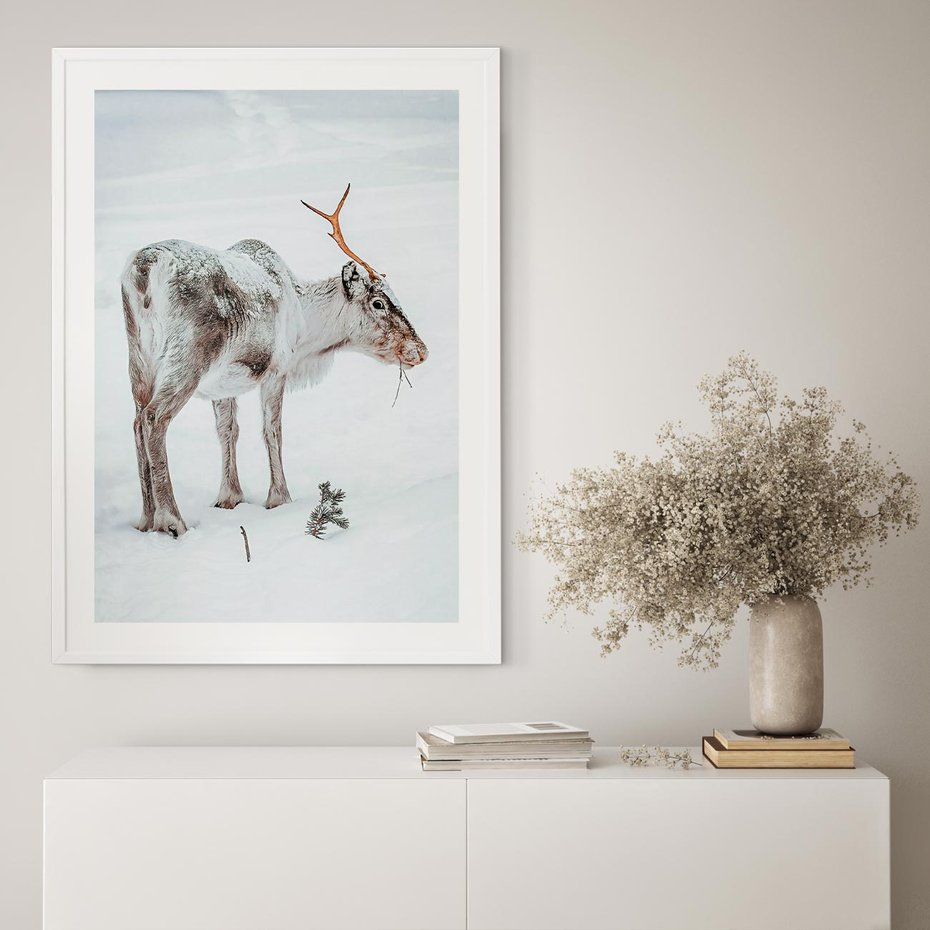 Plakat bez ramy 30x40 - Magia Świąt - renifer na śniegu, śnieg