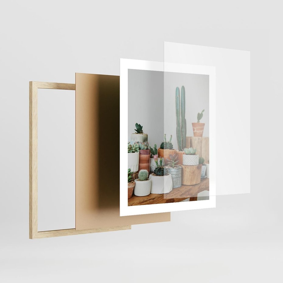 Plakat w ramie 40x50 - Kaktusowa Galeria w Doniczkach - kaktusy w doniczkach, fotografia - rama drewno