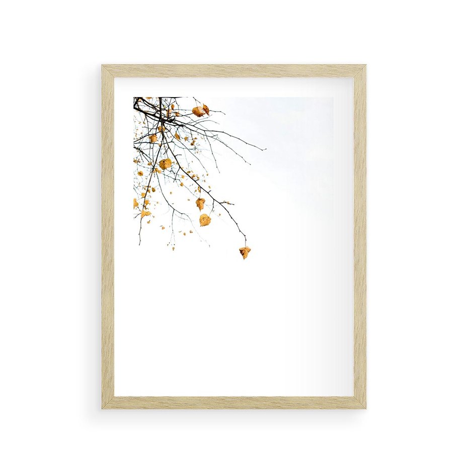 Plakat w ramie 30x40 - Złota Jesień - drzewo, żółte liście - rama drewno
