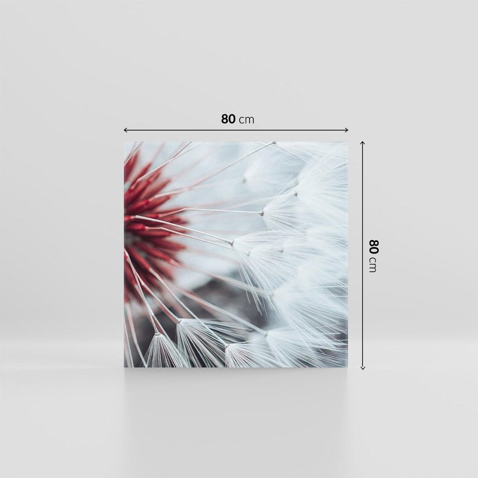 Obraz na płótnie 80x80 - Makro świat dmuchawca - dmuchawiec, makro