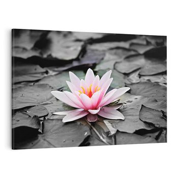 Obraz na płótnie 100x70 - Liliowy kwiat - lilia, kwiat