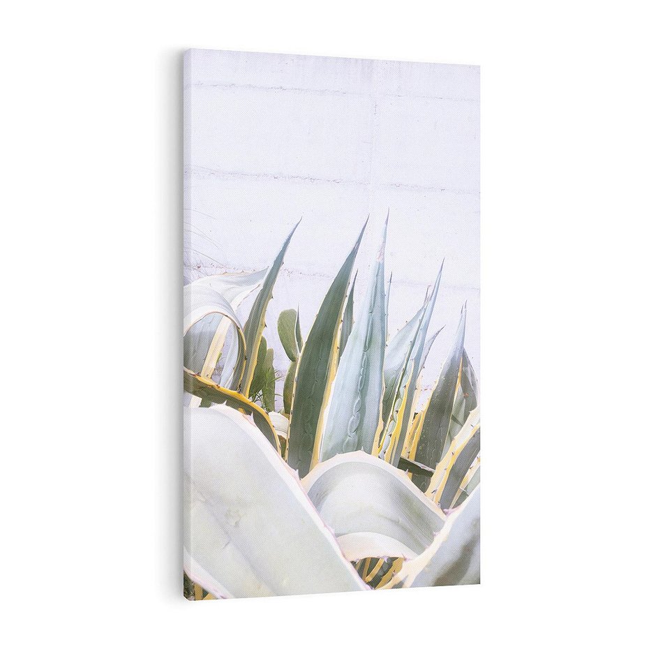 Obraz na płótnie 70x100 - Sukulentowe liście - liście, sukulenty