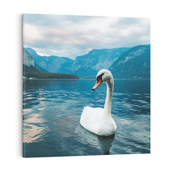 Obraz na płótnie 40x40 - Łabędzi Śpiew - fotografia, plakat