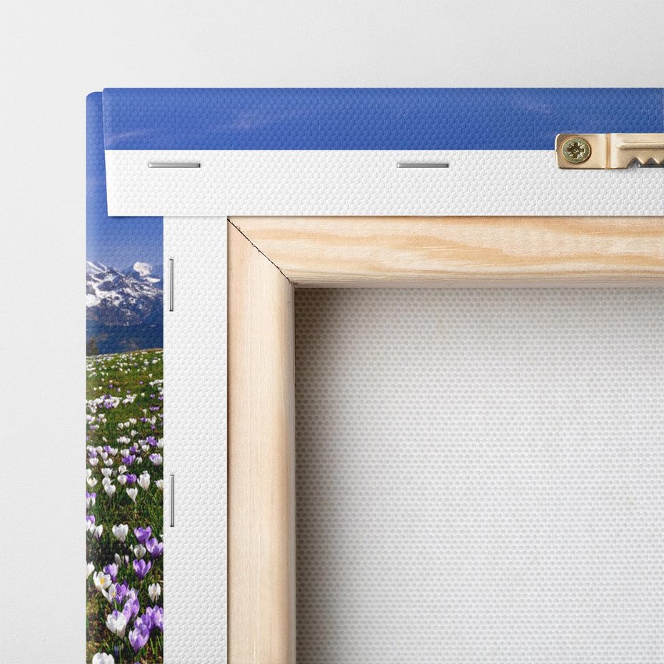 Obraz na płótnie 120x80 - Wiosenne Czarowanie - krokusy, góry