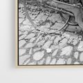 Obraz w ramie 70x50 - Zapomniany Urok - czarno biała fotografia, stary rower oparty o mur - rama drewno