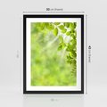 Plakat w ramie 30x40 - Zielone liście natury - liści, zieleń - rama czarna