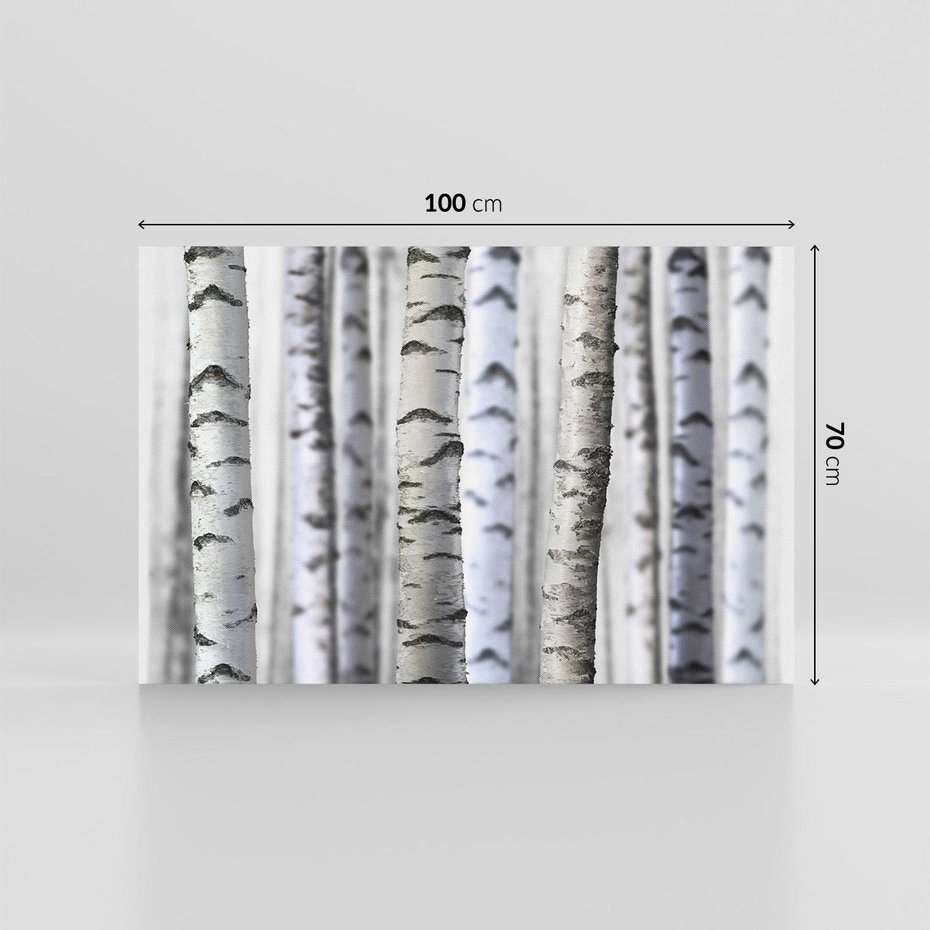 Obraz na płótnie 100x70 - Delikatność brzóz - brzozy, las
