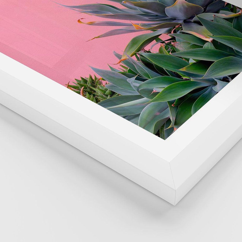 Plakat w ramie 40x50 - Tropikalne Liście na Różowej Ścianie - różowa ściana, tropikalne liście na jej tle - rama biała