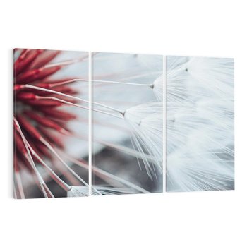 Obraz na płótnie 120x80 - Makro świat dmuchawca - dmuchawiec, makro