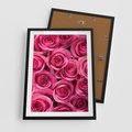 Plakat w ramie 50x70 - Romantyczne róże w pełnym rozkwicie - róże, kwiaty - rama czarna
