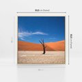 Obraz w ramie 50x50 - Słońce i Suche Drzewo - pustynia, suche - rama drewno