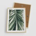 Plakat w ramie 50x70 - Spokojna Piękność Palmowych Liści - palma, liście palmy - rama drewno