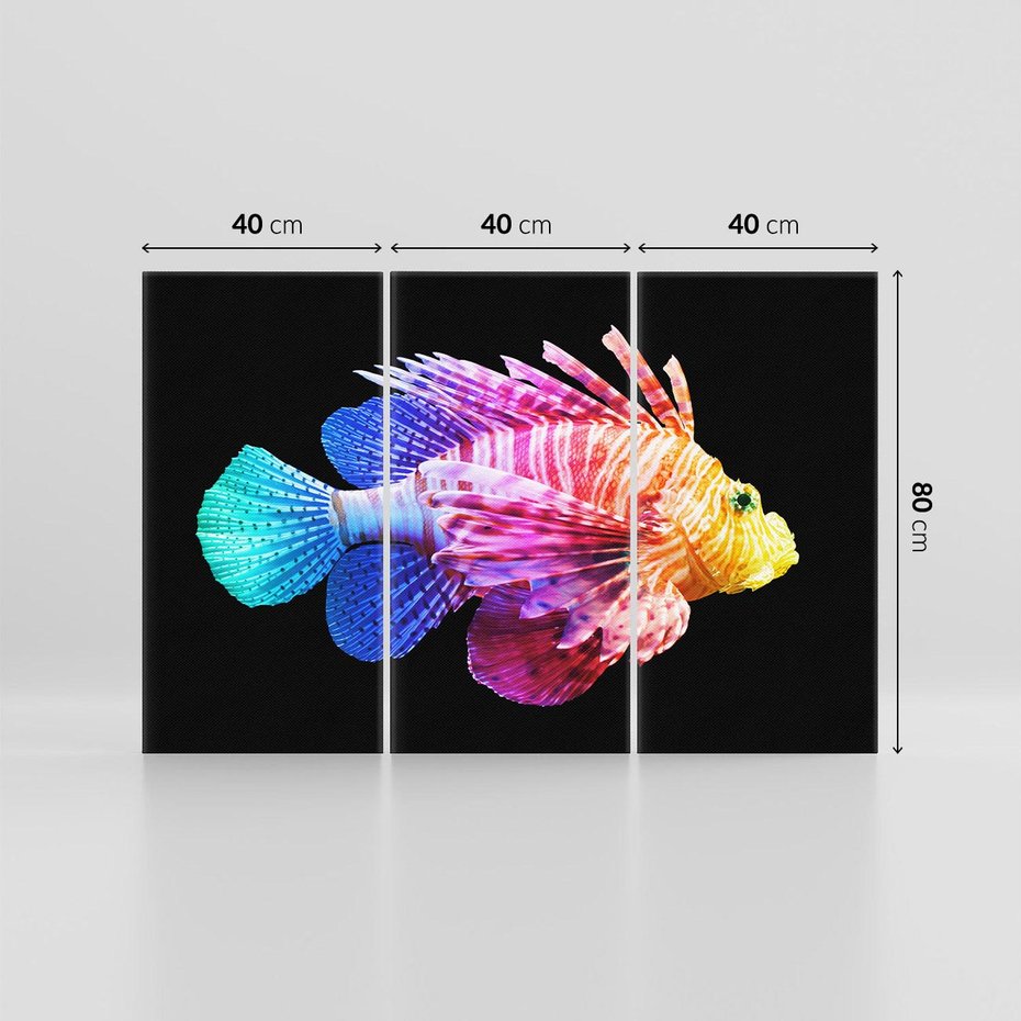 Obraz na płótnie 120x80 - Tęczowa Piękność - kolorowa tęczowa ryba, mocny akcent na czarnym tle