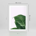 Plakat w ramie 50x70 - Zielone liście monstery - liście, monstera - rama biała