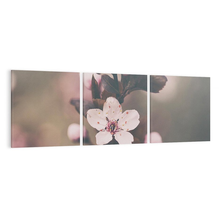 Obraz na płótnie 120x40 - Przemijający Urok - kwitnąca, wiśnia