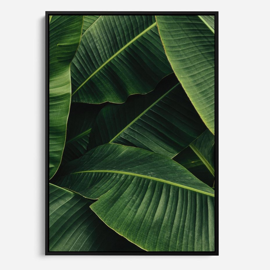 Obraz w ramie 50x70 - Zaklęta roślinna ekspresja - liście bananowca, gęsto ułożone - rama czarna