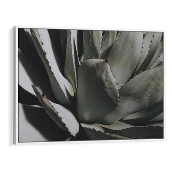 Obraz w ramie 120x80 - Sukulenty wśród kaktusów - sukulenty, kaktusy - rama biała