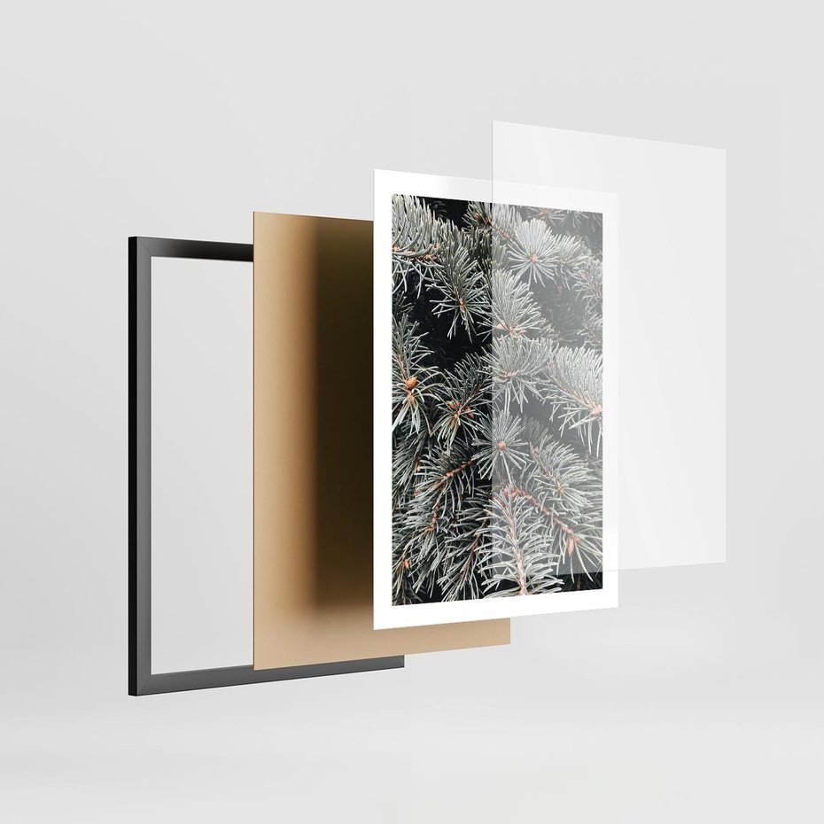Plakat w ramie 50x70 - Zima na Gałęziach - sosnowe gałęzie, igły - rama czarna