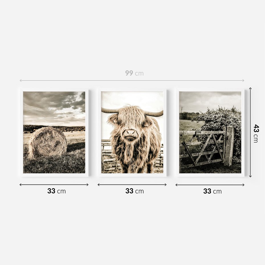 Zestaw obrazy w ramie 30x40 galeria - Bydło, USA, pole - rama biała