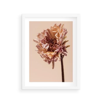 Plakat w ramie 40x50 - Delikatne piękno - suche, kwiaty - rama biała