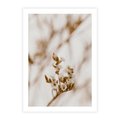 Plakat bez ramy 21x30 - Kwiatowa suchość - kwiaty, susz