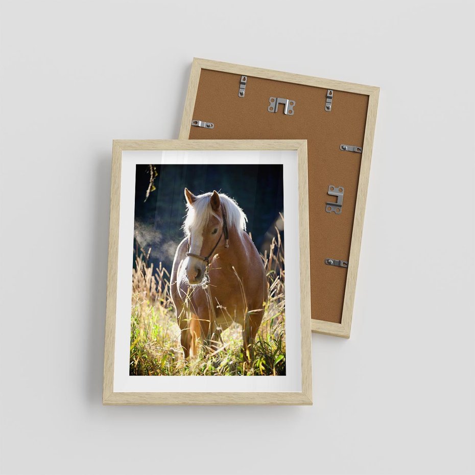 Plakat w ramie 30x40 - Spotkanie konia na łące - koń, łąka - rama drewno