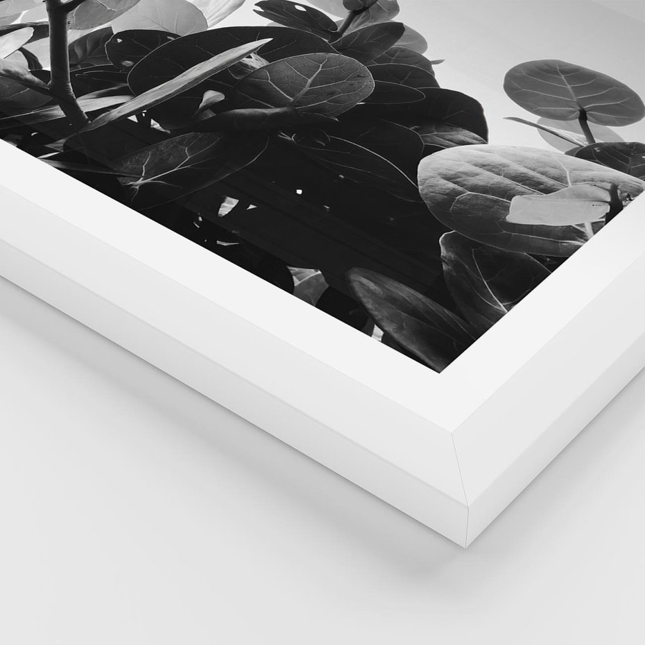 Plakat w ramie 50x70 - Blisko Natury - liście, rośliny tropikalne - rama biała