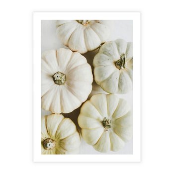 Plakat bez ramy 21x30 - Jesienne Dynie: Delikatna Kompozycja - białe dynie, jasna kompozycja