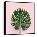 Obraz w ramie 50x50 - Egzotyczna Roślinność - liście, monstera - rama czarna