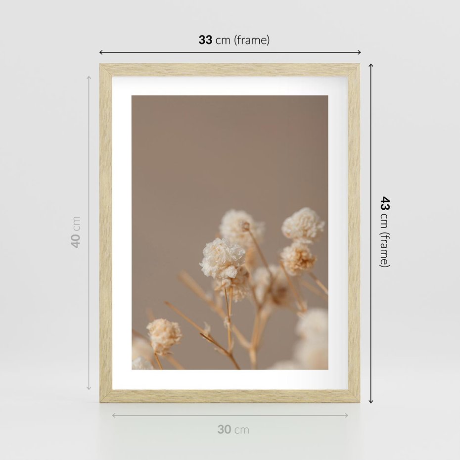 Plakat w ramie 30x40 - Przezroczyste piękno - gipsówka, suche - rama drewno