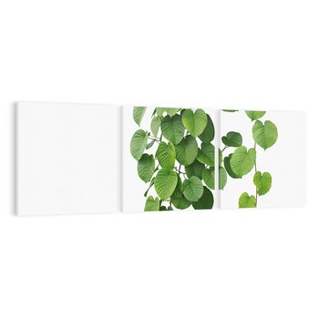 Obraz na płótnie 120x40 - Świeżość Natury - liście, zielone