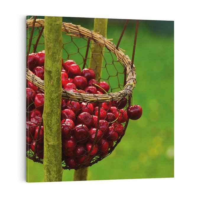 Obraz na płótnie 60x60 - Czereśnie w Koszyku Owocowy Skarb - czereśnie, koszyk