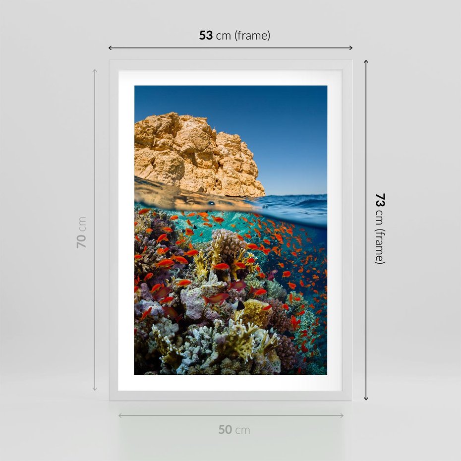 Plakat w ramie 50x70 - Rafa koralowa w oceanie - rafa, koralowa - rama biała