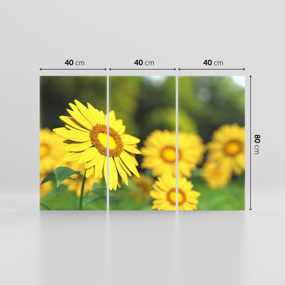 Obraz na płótnie 120x80 - Kwiatowa łąka - kwiaty, łąka