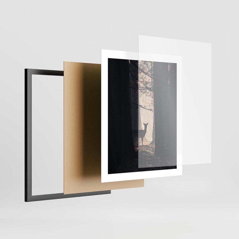 Plakat w ramie 40x50 - Sarnie Skoki - zdjęcie, klimatyczny las - rama czarna