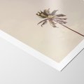 Plakat bez ramy 21x30 - Samotna Palma pod Niebem - samotna palma, na tle nieba
