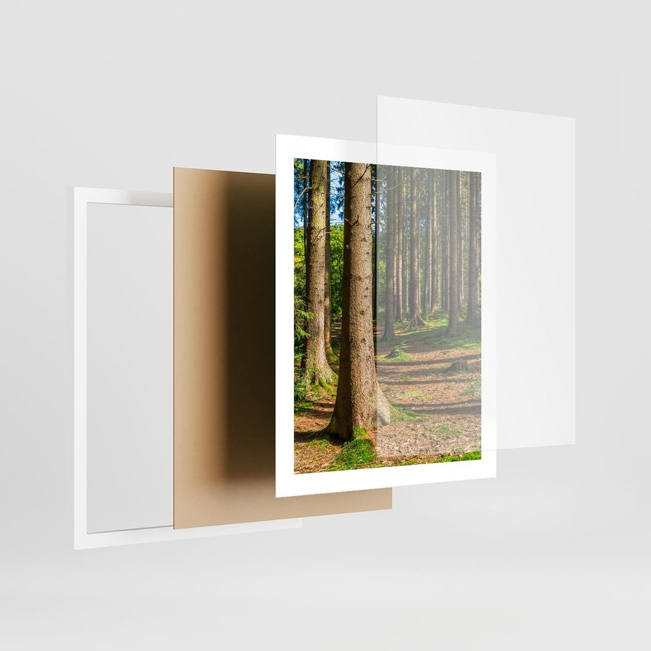 Plakat w ramie 40x50 - Las: harmonia natury - las, drzewa - rama biała
