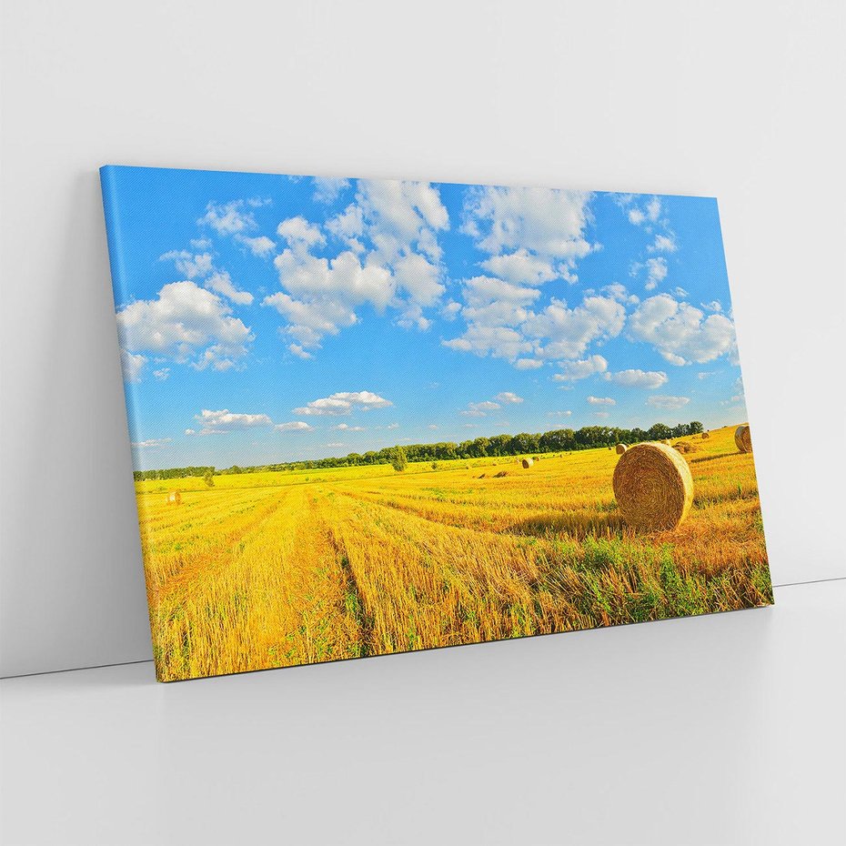 Obraz na płótnie 100x70 - Urok rolnictwa: Trawa w pełnym rozkwicie - rolnictwo, trawa