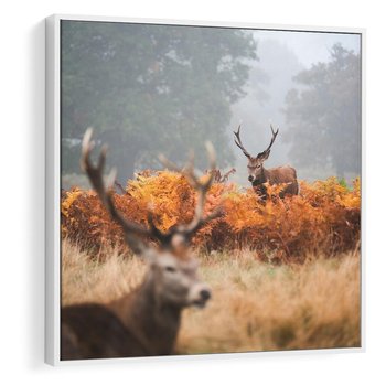 Obraz w ramie 80x80 - Malownicza Harmonia - jelenie, jesień - rama biała
