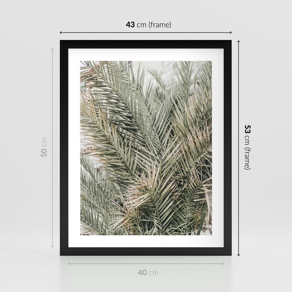 Plakat w ramie 40x50 - Egzotyczny Świat Palm - palmy, liście palmy - rama czarna