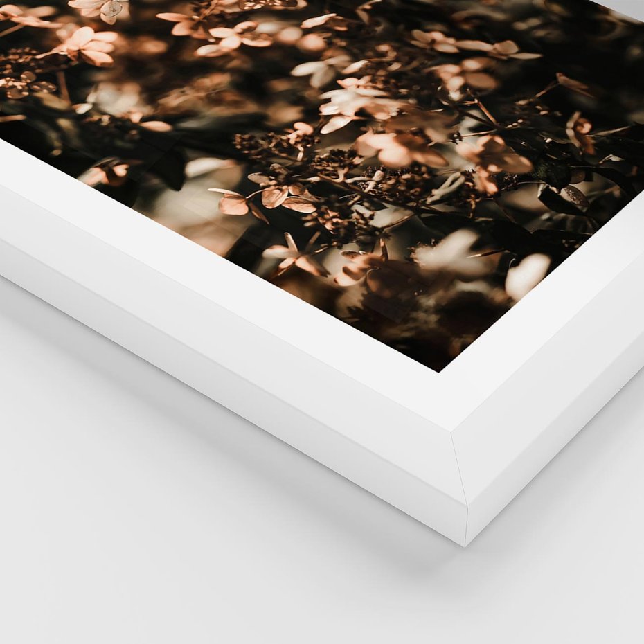 Plakat w ramie 30x40 - Sucha Kompozycja Kwiatów - suche kwiaty hortensji - rama biała