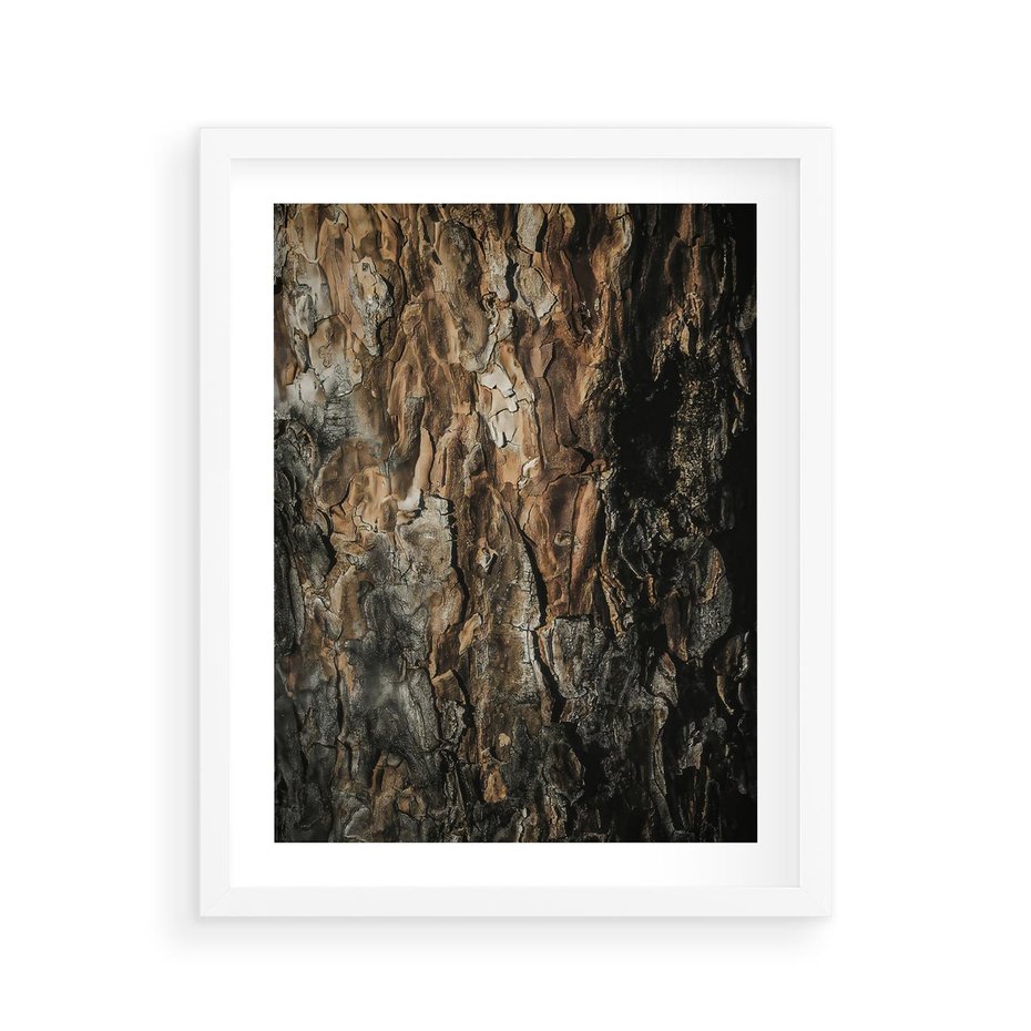 Plakat w ramie 40x50 - Tekstura Drewna: Zbliżenie - zbliżenie na pień drzewa, tekstura - rama biała