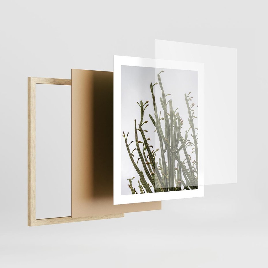 Plakat w ramie 40x50 - Ekskluzywna Roślinność - kaktusy, liście - rama drewno